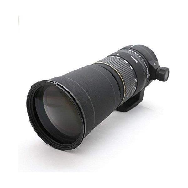 シグマ SIGMA 170-500mm F5-6.3 APO DG キヤノン用 シグマ APO1 シグマ SIGMA 170-500mm F5-6.3 APO DG キヤノン用 シグマ APO1