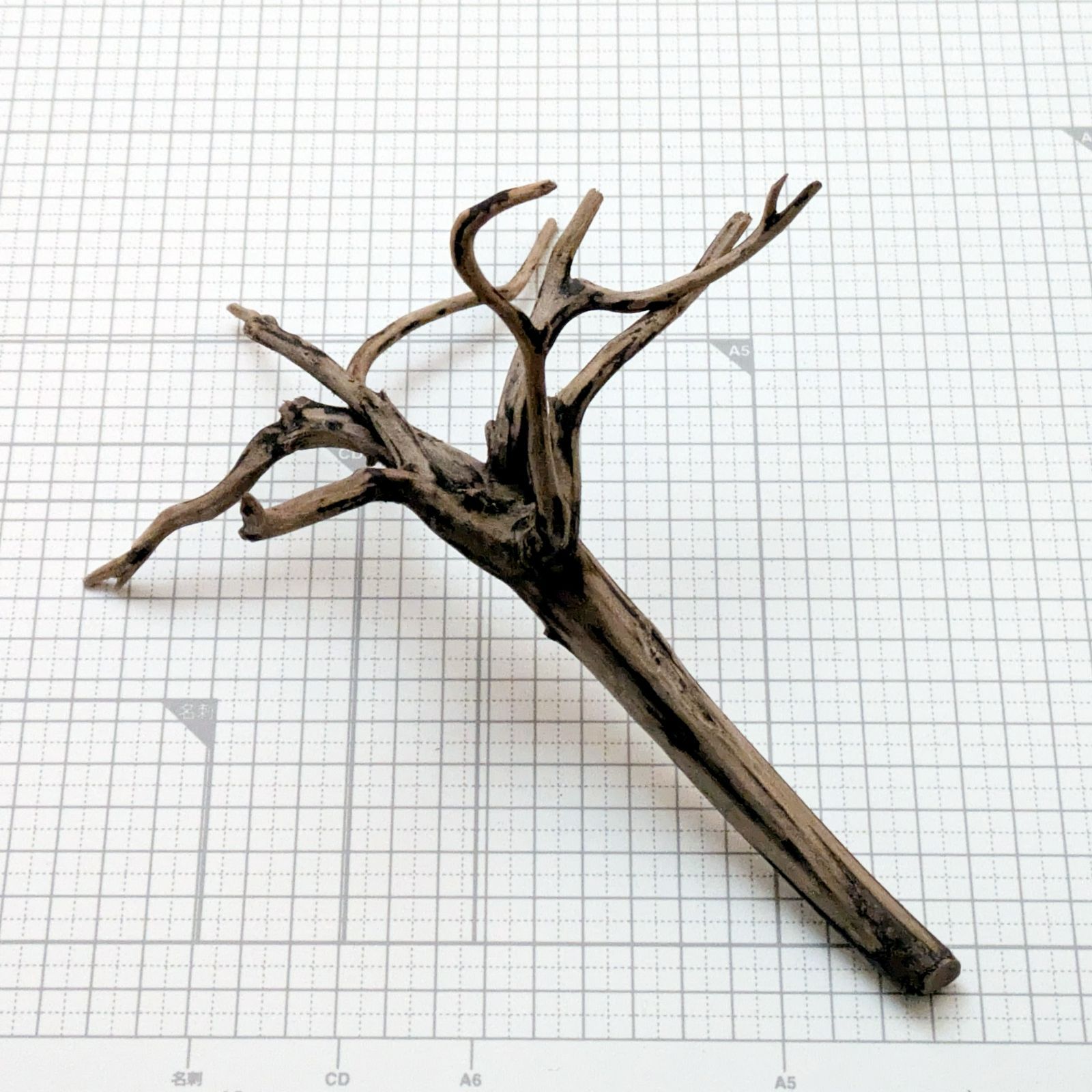 受注品：流木 約23x15x14cm ブラックブランチウッドS 複数同時購入で2品目