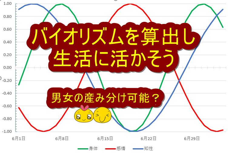 在庫僅か！今だけ値引きアリ！】政木式 バイオリズム計 赤 政木和三