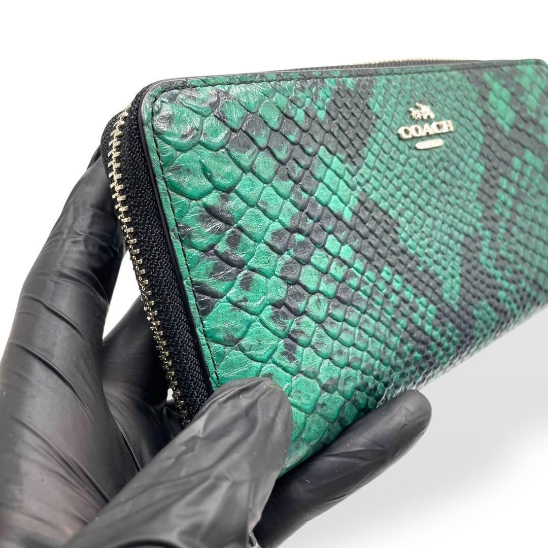 COACH 長財布 保存袋付き 未使用級 レア COACH コーチ 長財布 パイソン調 レザー グリーン