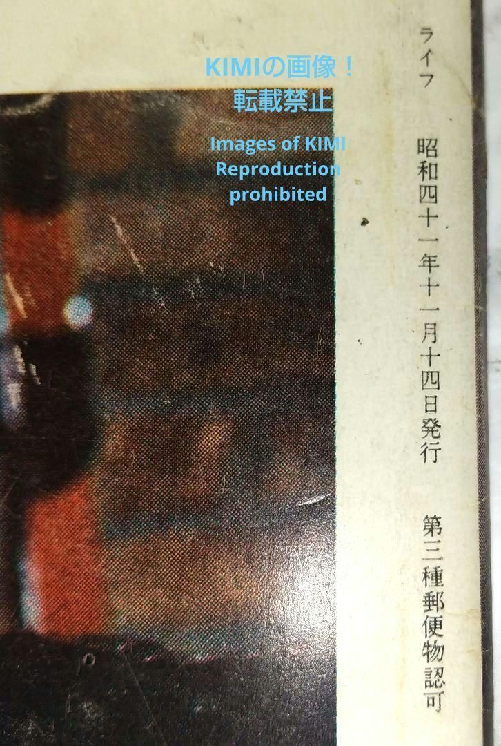 希少 ライフ マガジン 雑誌 1966 11月14日 昭和41年11月14日発行 希少 ライフ マガジン 雑誌 1966 11月14日 昭和41年11月14日発行
