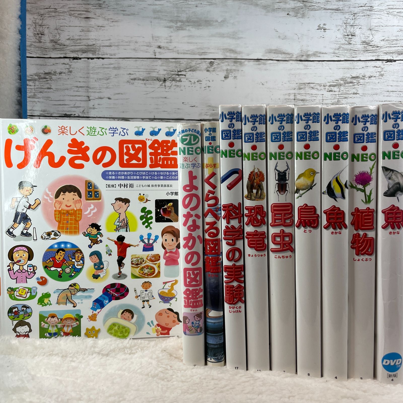 小学館の図鑑 neo 小学館子ども図鑑 プレneo まとめ売り 10冊セット - メルカリ