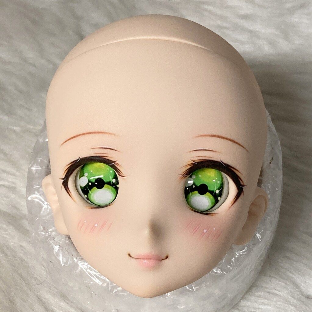 Shangri-La DDH-06 DDカスタムヘッド セミホワイト肌