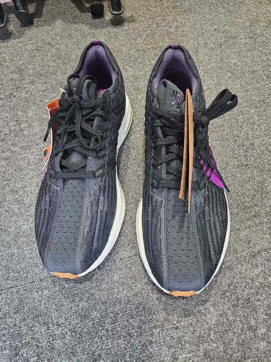 ペガサスターヴォネクストネイチャー