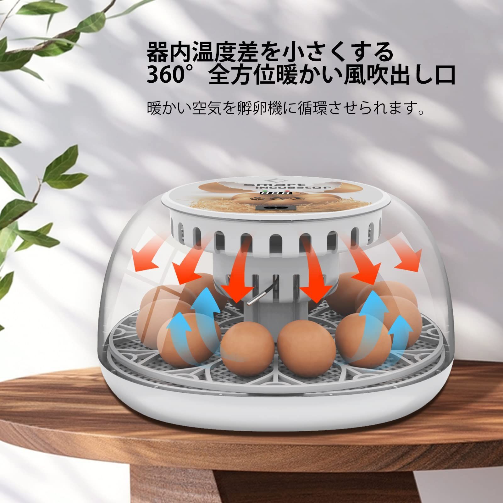 LifeBasis 自動孵卵器 インキュベーター 鳥類専用ふ卵器 自動転卵式