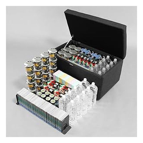 Bauhutte バウヒュッテ ストレージオットマン マックス 幅85×奥行50×高さ44cm キャスター付き BOT-840-BK 2659211