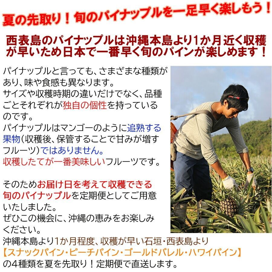 予約25年4月以降収穫