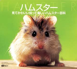 【中古】(非常に良い)ハムスター 見てかわいい知って楽しいハムスター百科
