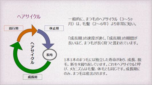 ヒルコス Ａjnアイゾーン革命 まつ毛美容液 10本ハリ 密度アップ