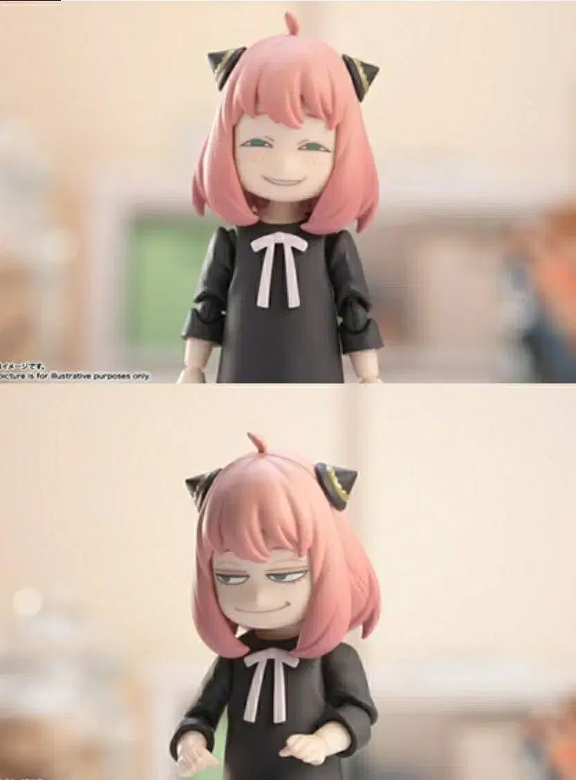 ♯Jsi16FjカプセルQ日本の動物2沖縄奄美やんばるの森S入全13種 カプセルQミュージアム 日本の動物コレクション2 沖縄奄美/やんばるの