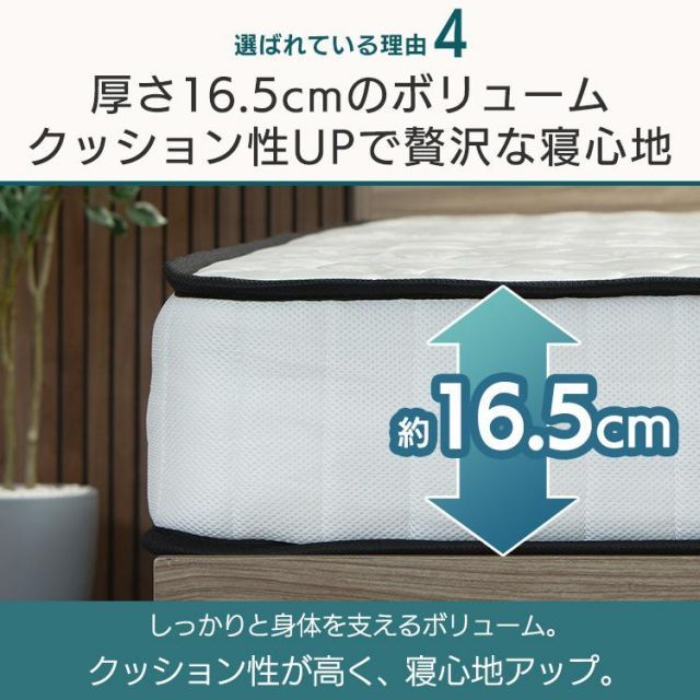 厚さ16.5cm S