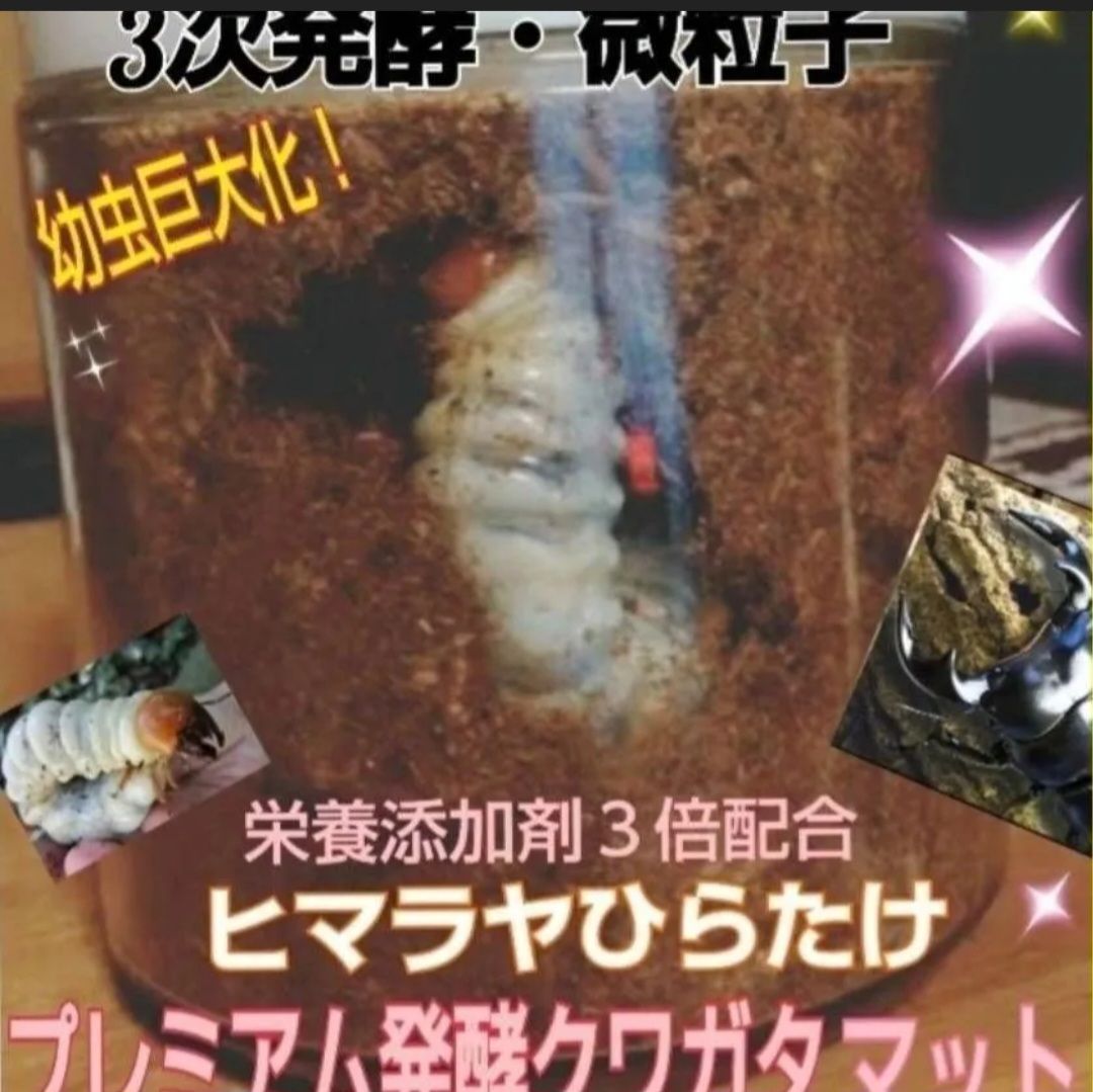 3次発酵クワガタマット