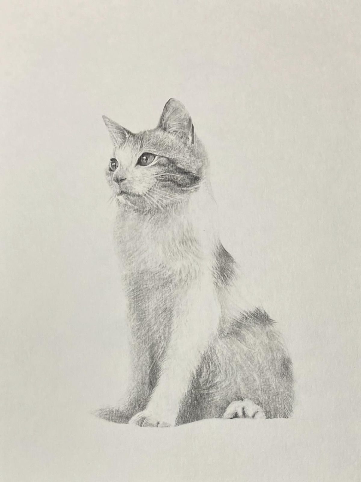 自作絵画　鉛筆画 東京藝術大学出身プロ画家の習作 鉛筆デッサン No.33 - メルカリ