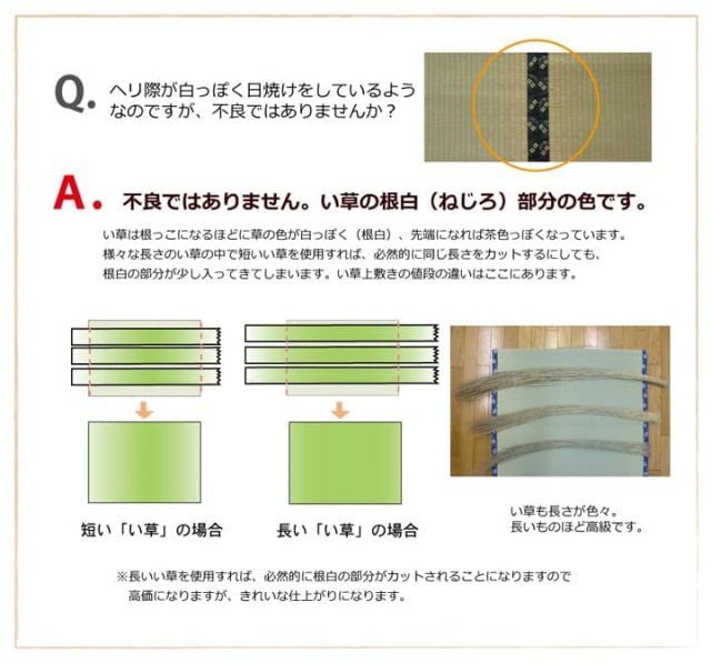 ラグ・カーペット・マット 純国産 い草 上敷き カーペット 双目織 『草津』 江戸間8畳(約352×352cm）