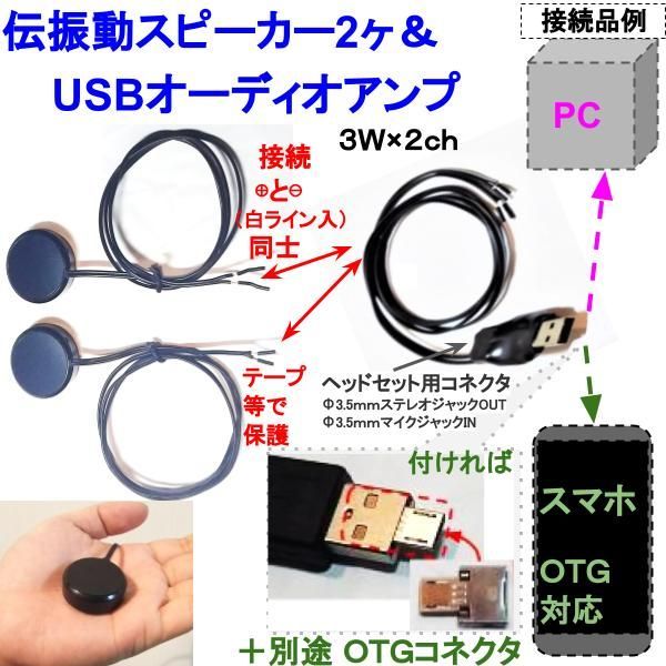 伝振動スピーカー２個＆ＵＳＢオーディオアンプset