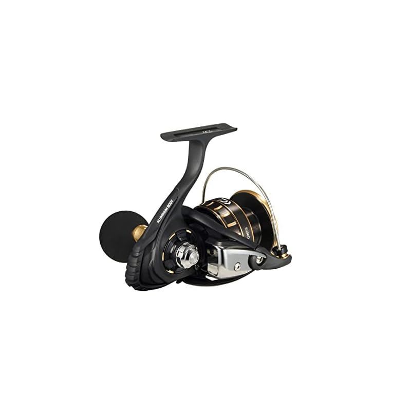 Daiwa BG SW 5000D-CXHリール ダイワ BG SW 5000D-CXH (リール) 価格