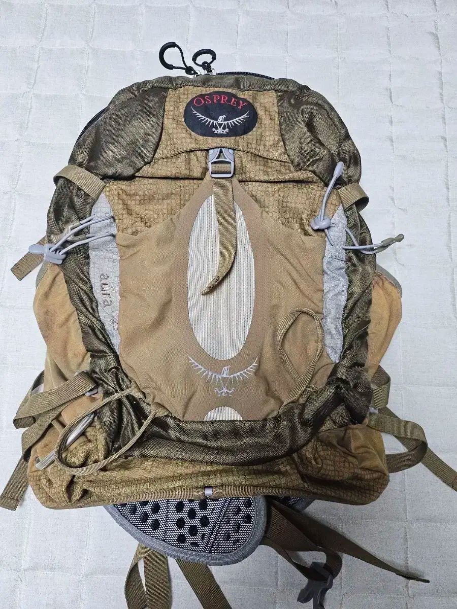 オスプレイ OSPREY 登山 リュックサック 25 レディース