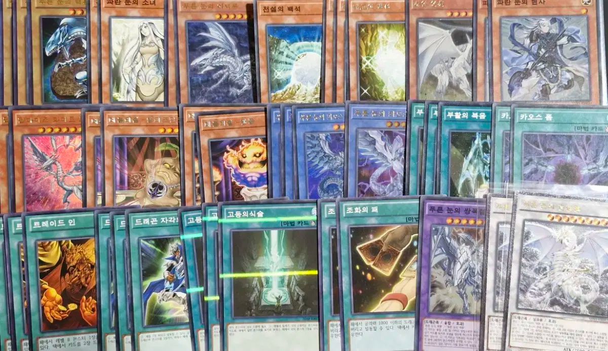 遊 戯 王 ペクリョン デッキ カード