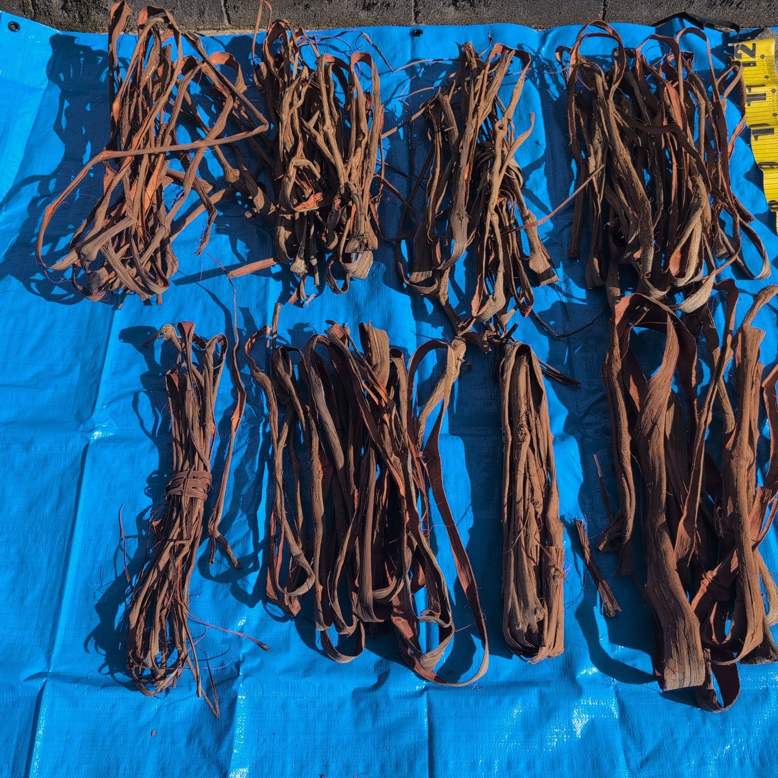 天然山葡萄の蔓1 採集状態で保存2.5キロ 令和4年採取 TALLINNNEXPO_COM