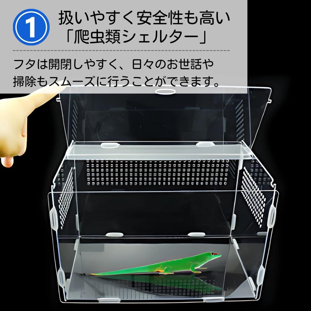 カナヘビ・爬虫類飼育11点セット Amazon | 爬虫類 ケージ トカゲ ケージ カナヘビ飼育ケース レプタイル