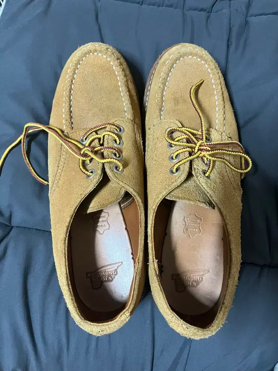 RED WING レッドウィング 8105 モックトゥ 靴