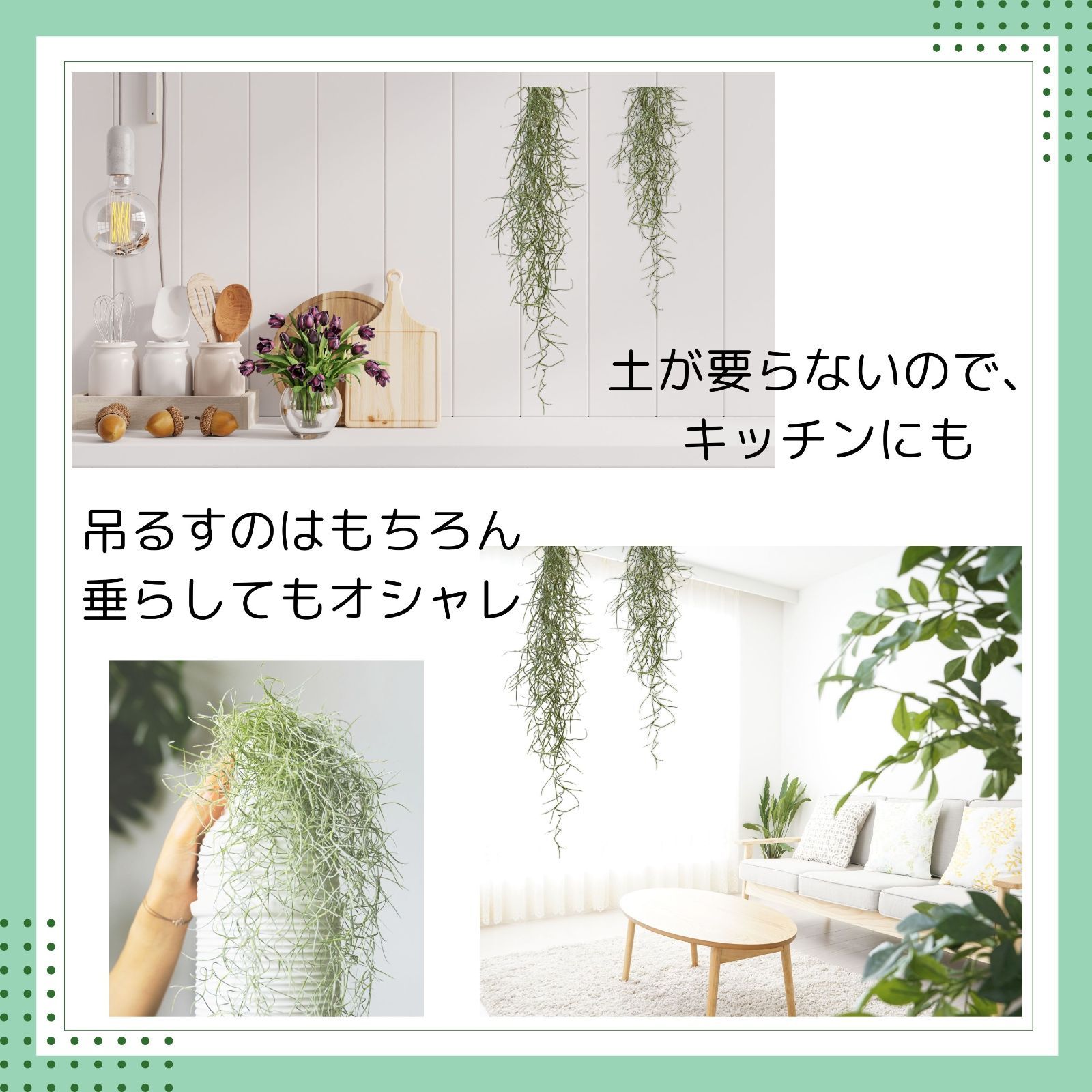 のサムネイル