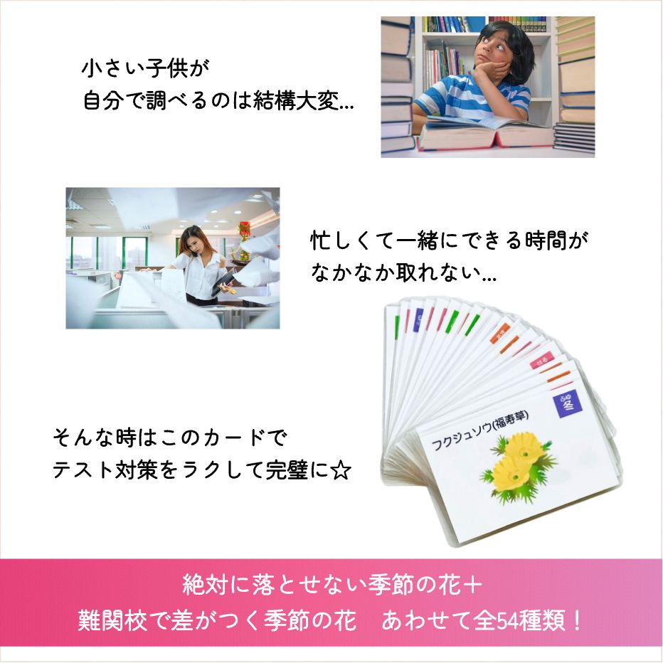 季節の花カード 小学校受験教材 理科的常識 幼児教育 知育 きせつカード - メルカリ