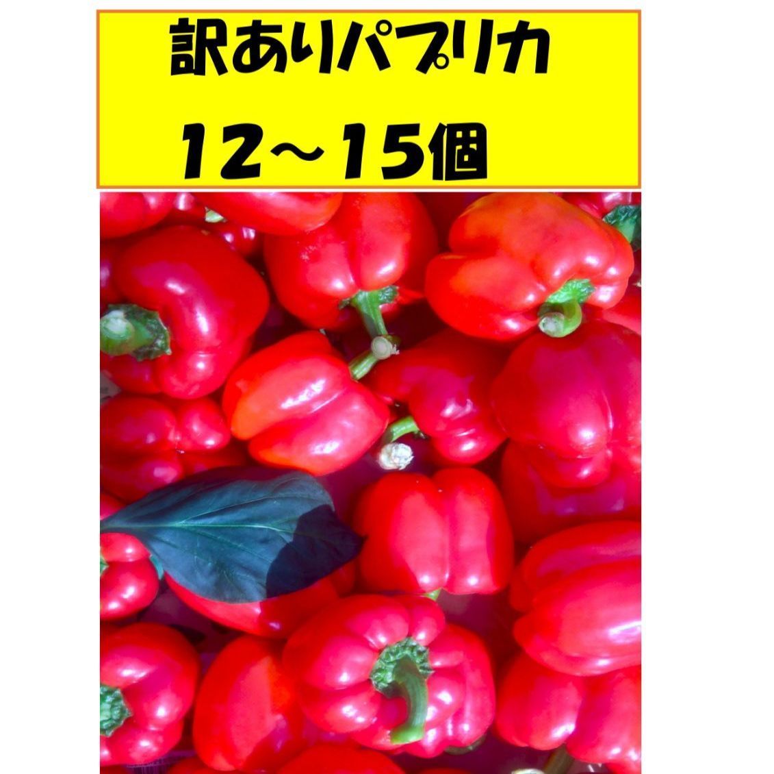 パプリカ訳ありミックス（１２～１4個）約3.2kg