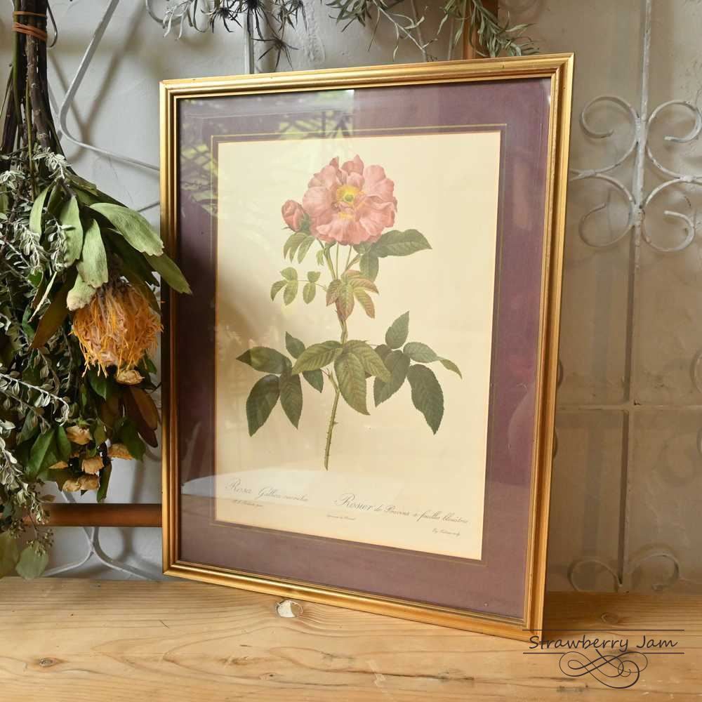 イッタラ シエッポ ブラウン✕クリア Birds by Toikka | Sieppo | iittala