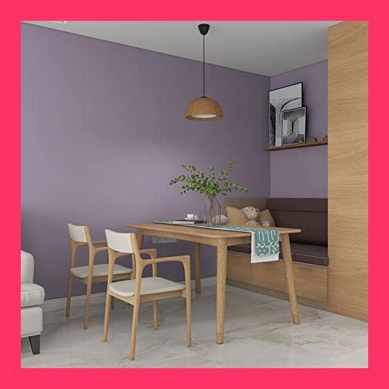 希少 ザミオクルカス 斑入り 陶器鉢仕立て 受け皿付き 斑多め 黄斑 calm