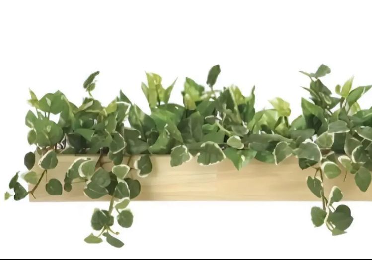 光触媒 人工観葉植物 ウォールグリーン フェイクグリーン 最新 ウッド