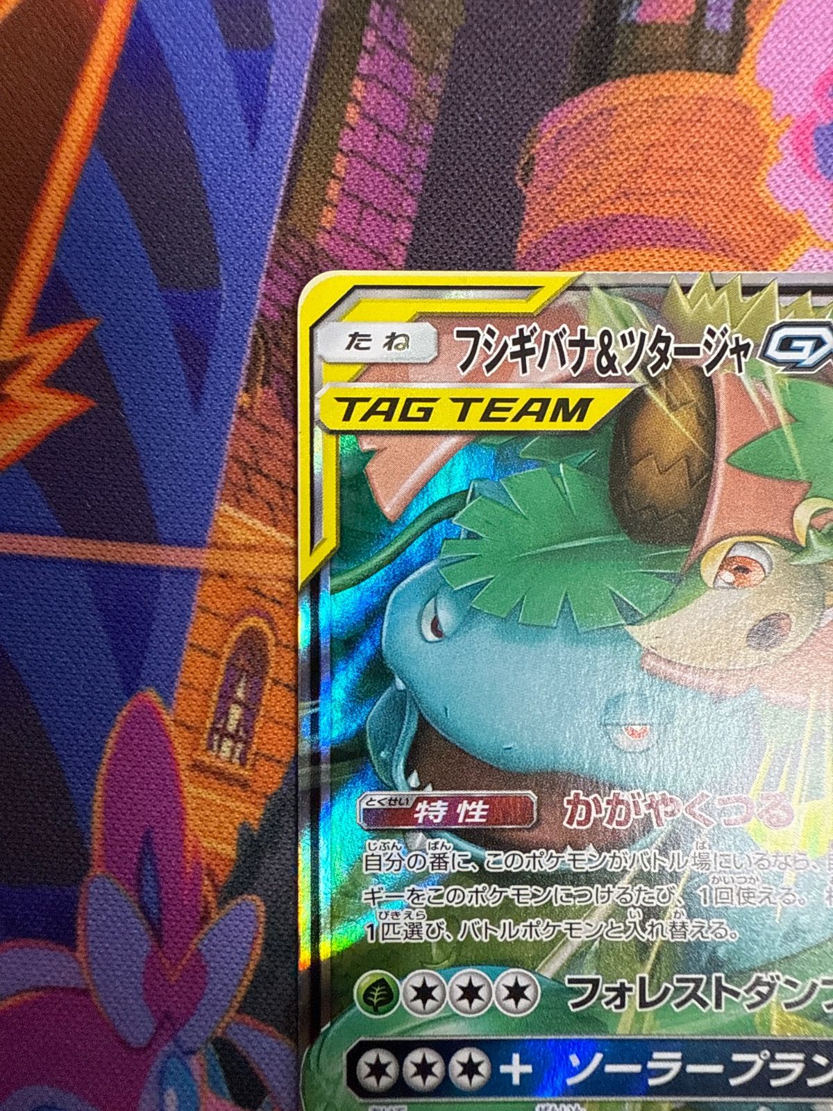 フシギバナ＆ツタージャGX SM11a 001/064 RR タッグチーム