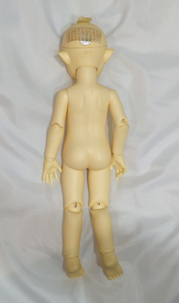 CUSTOMHOUSE petite Ai Uriel ウリエル