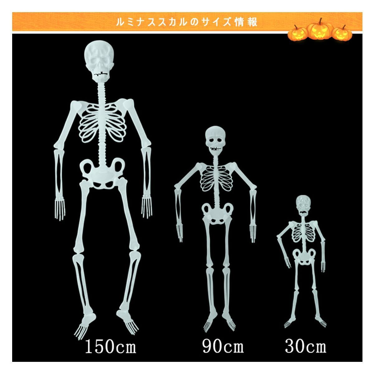 【デカすぎ！】ガイコツ　ハロウィン　人体模型　骨　ハロウィン　150cm デカすぎ！】ガイコツ ハロウィン 人体模型 骨 ハロウィン 150cm
