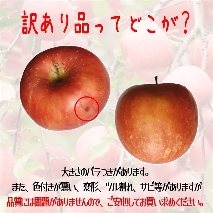 青森県弘前産サンふじりんご訳あり10㎏-6