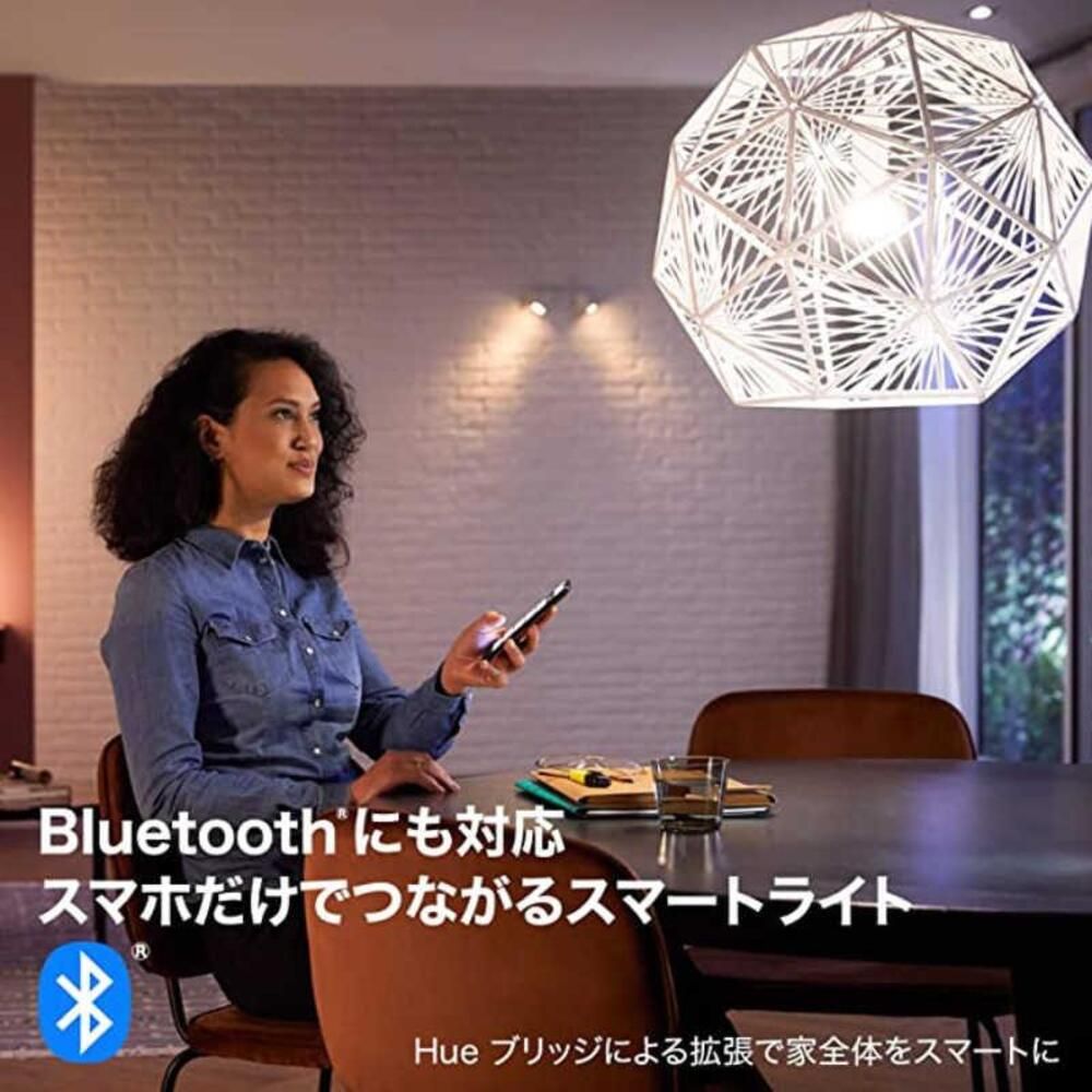 2個入り LED電球