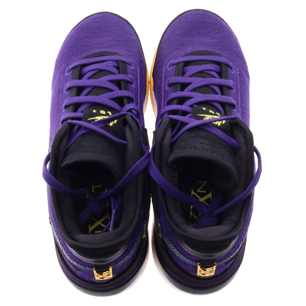 NIKE (ナイキ) ZOOM LEBRON NXXT GEN EP DR8788-500 ズーム レブロン