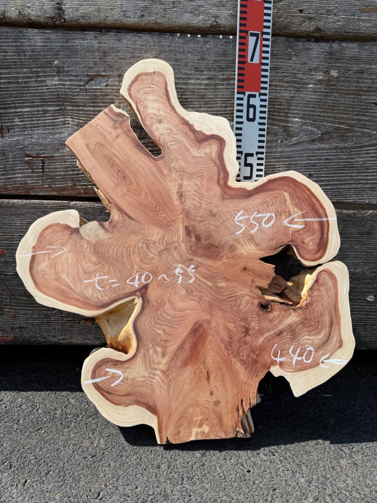 カイズカイブキ　切り株　インテリア　花台 切り株 カイズカイブキ 花台 サイドテーブル キャスター６個付き