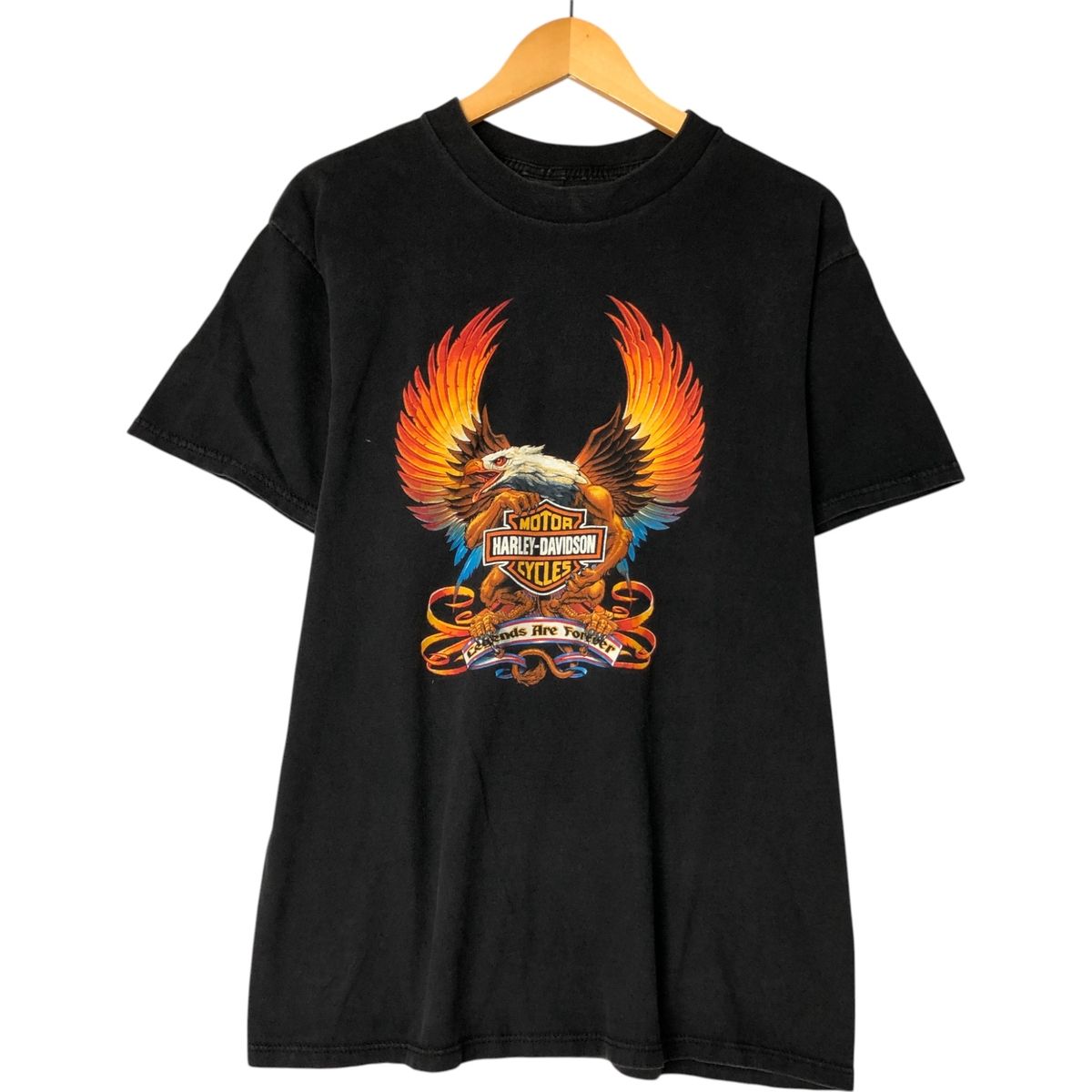 古着 ハーレーダビッドソン HOLOUBEX 鷲柄 イーグル柄 モーターサイクル バイクTシャツ メンズL相当|eaa560000