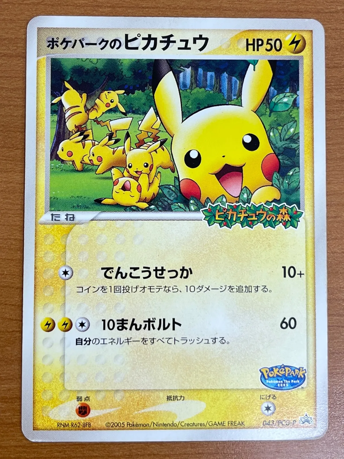 【PSA10】2005 ポケモンカード ピカチュウ ポケパーク 2005 ポケパークのピカチュウ PSA 10 ホロ - カルドバ