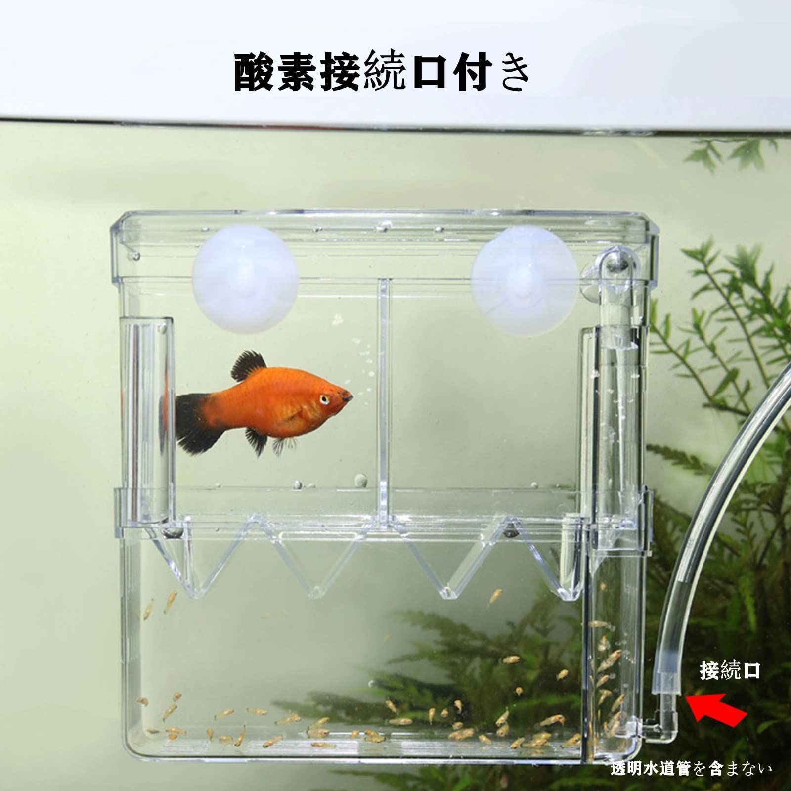 新品 水槽 魚卵 孵化 飼育 安全 魚 大容量 稚魚保護 育成用 攻撃を防ぐ 多機能産卵箱 透明 エビメダカ孵化産卵箱 2段式2箇所  水族館アクセサリー 繁殖隔離ボックス 取り付け簡単 酸素接続口付き Hitasi L - メルカリ