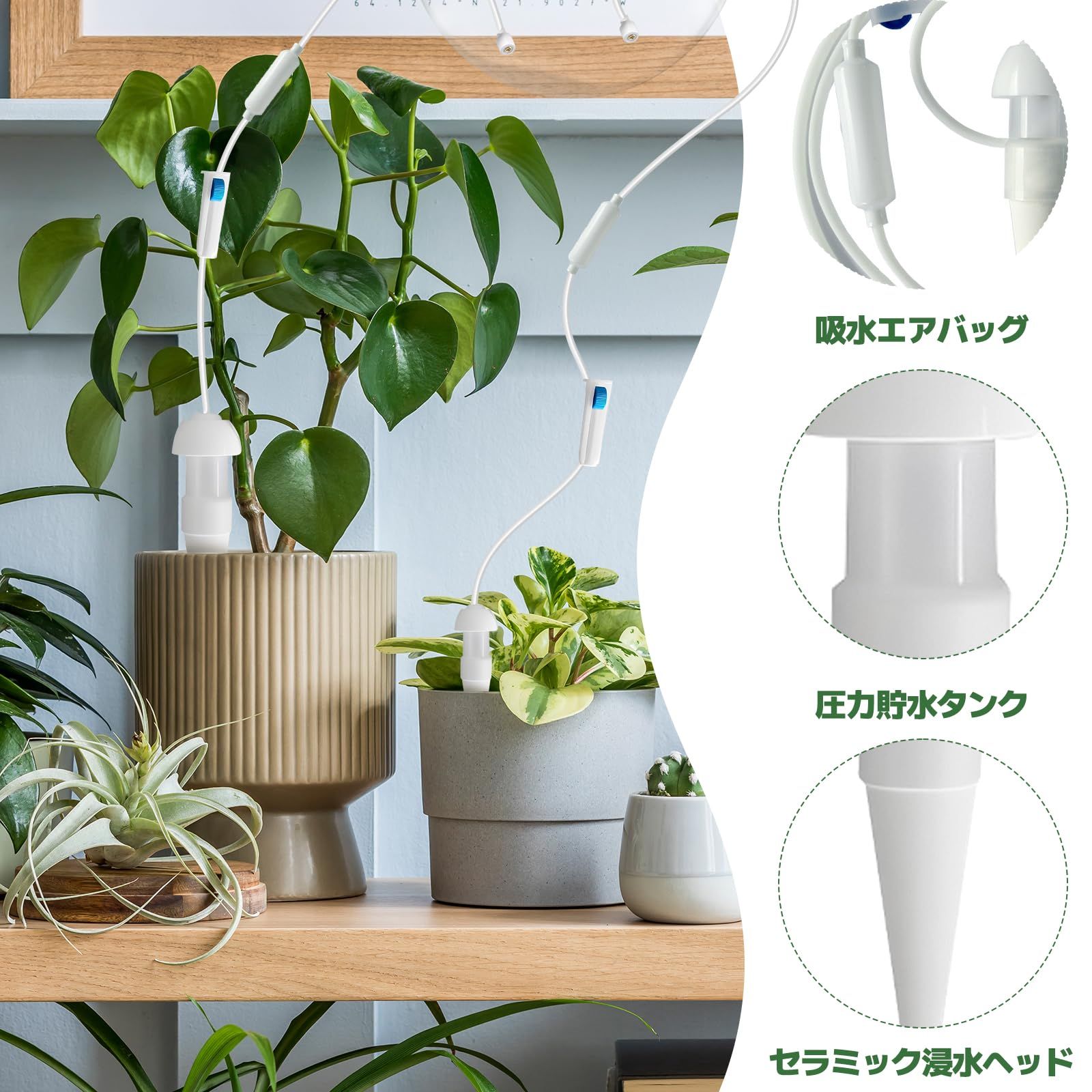 園芸用品 新品 zhihu 自動水やり器 小型 水やり当番 10個セット 植物