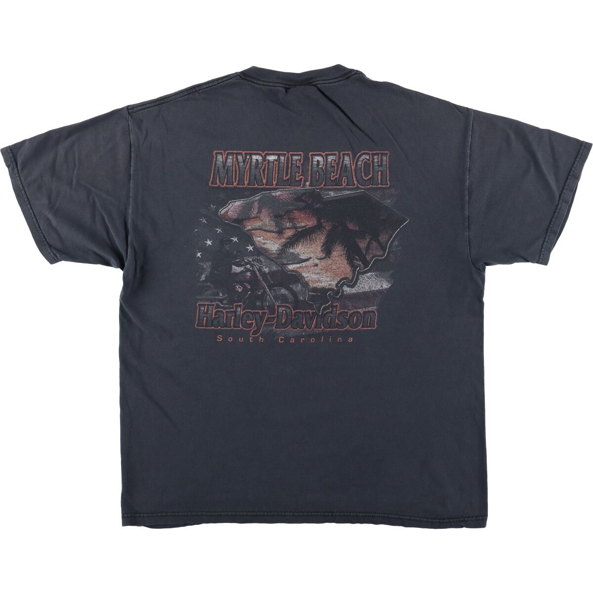 古着 ハーレーダビッドソン Harley-Davidson HANES ピンナップガール モーターサイクル バイクTシャツ メンズXL相当 eaa594103