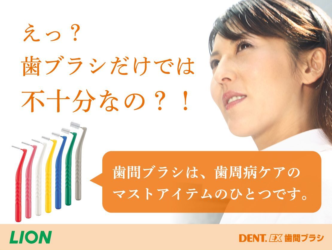 DENT.EX歯間ブラシ4S/ SSS/ SS/S/M　各色4本入×3個セット