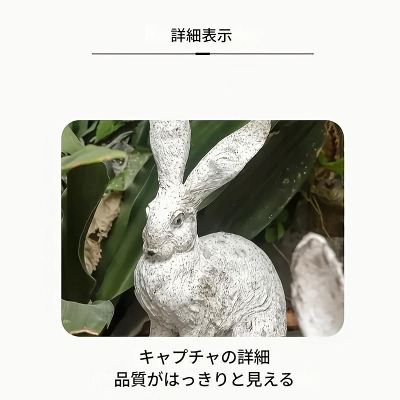 屋外 かわいい