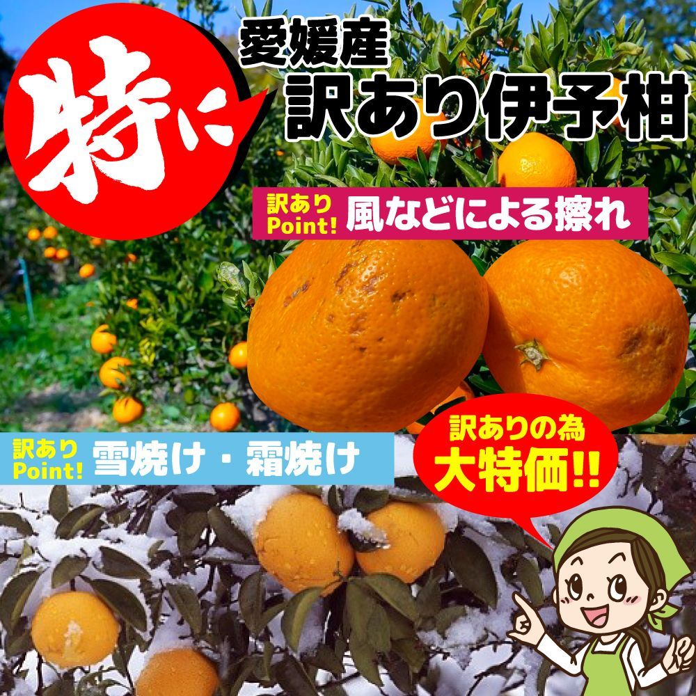 のサムネイル