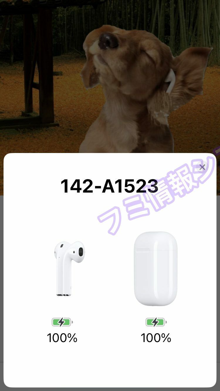 アップルAirPods左耳/A1722/第１世代/電池新品４時間/良品142L