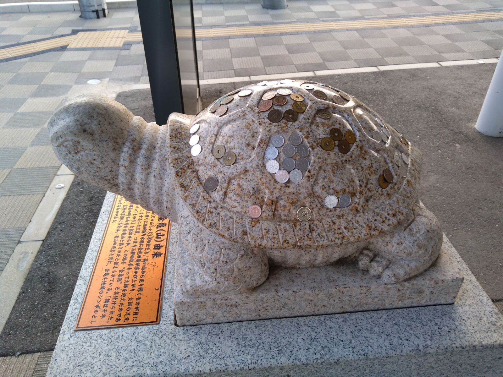 タートルショップ