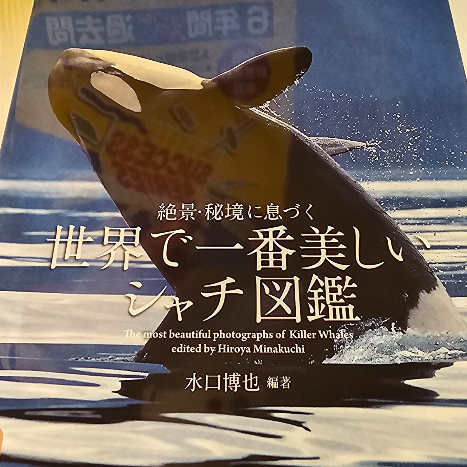 絶景・秘境に息づく世界で一番美しいシャチ図鑑 = The most beautiful