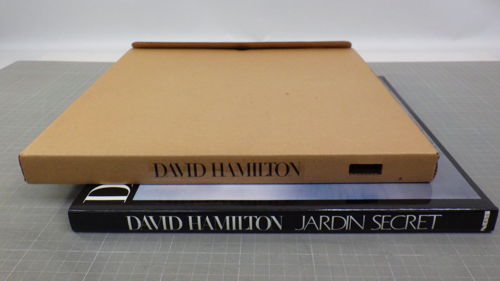 アート・デザイン・音楽 David Hamilton Jardin Secret DAVID HAMILTON JARDIN SECRET/1981年発行/デビッド・ハミルトン